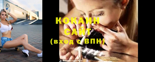 прущие грибы Краснотурьинск