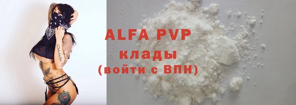прущие грибы Краснотурьинск