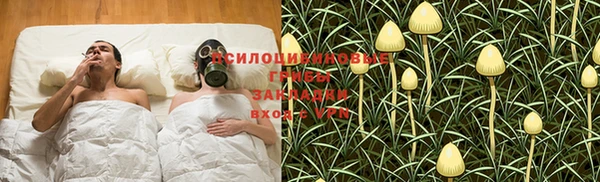 альфа пвп Краснослободск