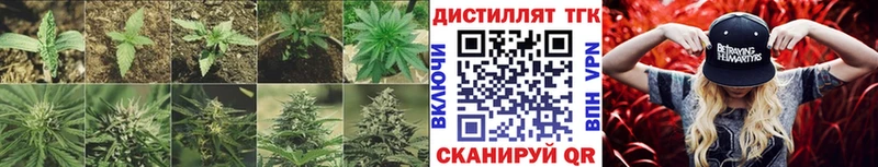 купить закладку  Михайловка  Дистиллят ТГК вейп с тгк 