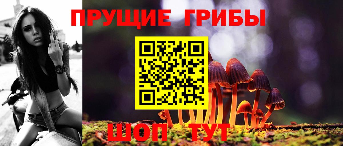 магазин  наркотиков  Галлюциногенные грибы ЛСД  Михайловка  Вход с VPN  Псилоцибиновые грибы Magic Shrooms 